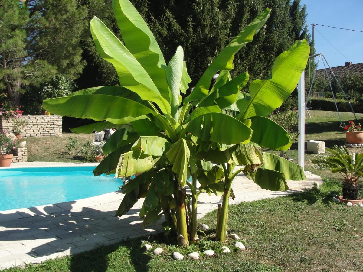L'Alivu Bed & Breakfast Couches Bagian luar foto